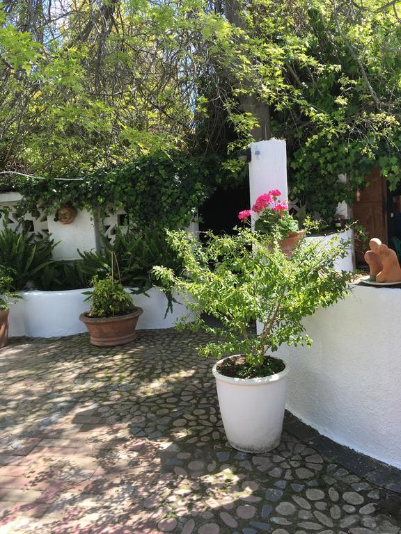 Brookwood Cottage Somerset West Exterior photo
